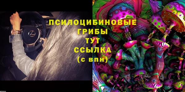 крисы Каменск-Шахтинский