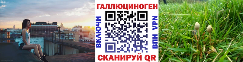 как найти   Снежногорск  Галлюциногенные грибы Psilocybine cubensis 